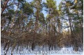 Parduodamas 3k. butas Bukčių g., Bukčiuose, Vilniuje, 62.49 kv.m ploto